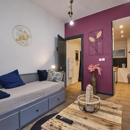 Calme En Centre , Spacieux Et Renove A 50m De La Place Carnot Apartment Carcassonne