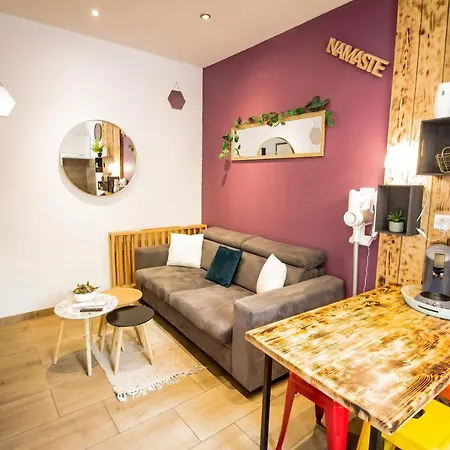 Apartment Calme En Centre , Spacieux Et Renove A 50m De La Place Carnot Carcassonne