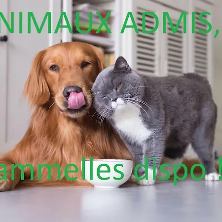 Calme En Centre Ville, 50m De La Place Carnot Διαμέρισμα