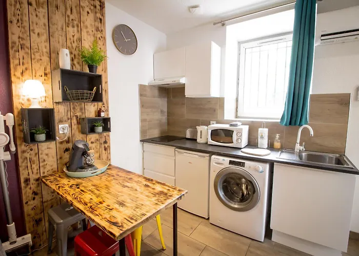 Apartment Calme En Centre Ville, 50m De La Place Carnot